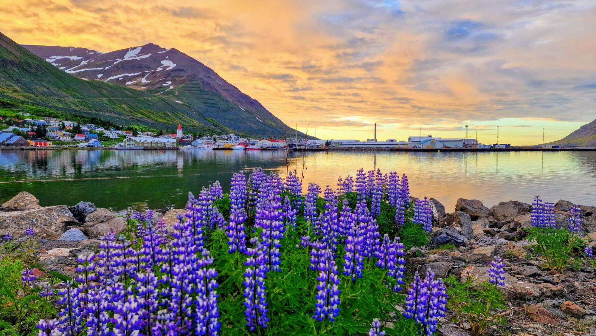 Landakot The Perfect Getaway By Staynorth Siglufjordur المظهر الخارجي الصورة